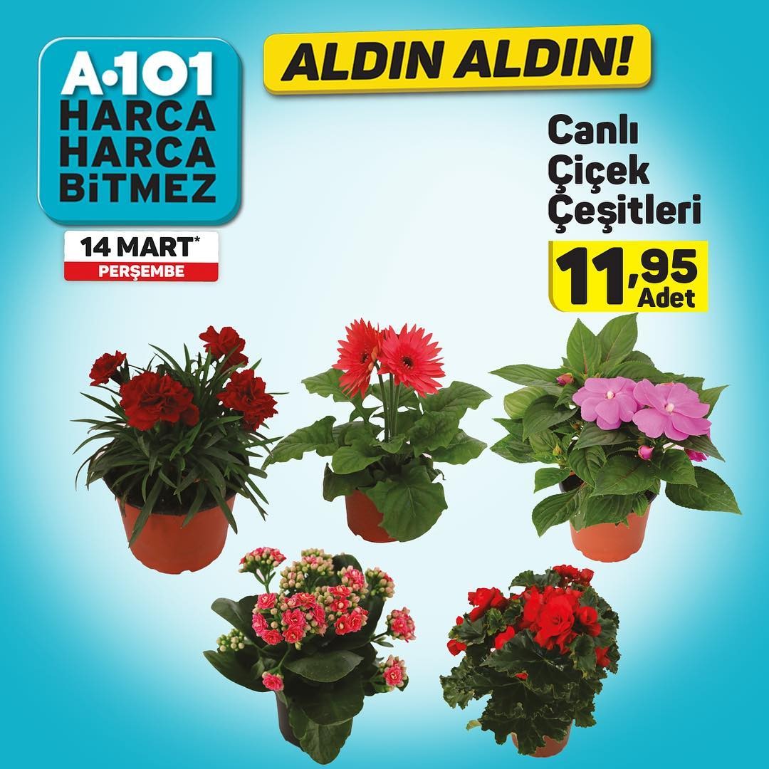 A101 14 Mart 2019 Süper İndirimli Fırsatları İnceliyoruz