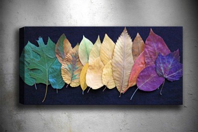 Dekorasyon Ürünleri Fiyatları