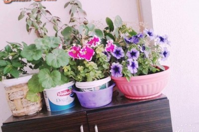 Mavinin huzur veren etkisi
