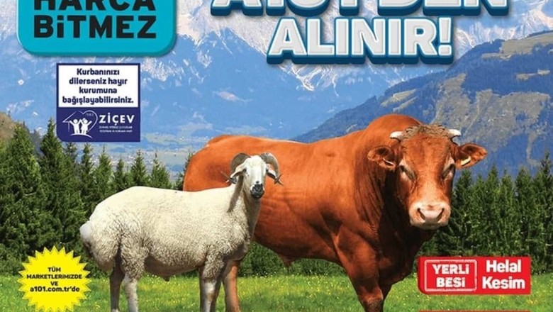 A101 Market    13 - 20 Haziran 2024 Aktüel İndirimli Ürünler Kataloğu