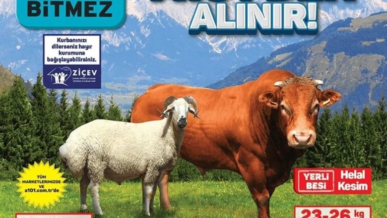 A101 Market  20 Haziran 2024 Aktüel İndirimli Ürünler Kataloğu